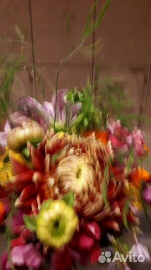 Георгины макс, розы, гладиолусы свои