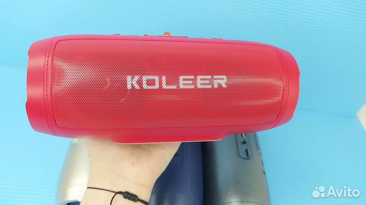 Колонки портативные Coleer