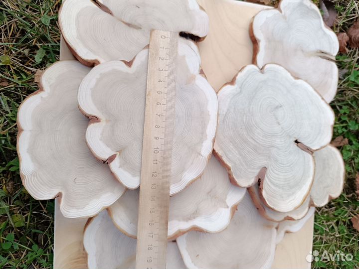 Набор спилов можжевельника для декора и творчества