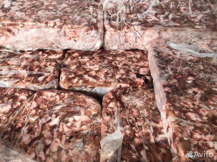 Обрезь свиных голов для животных всегда в наличии