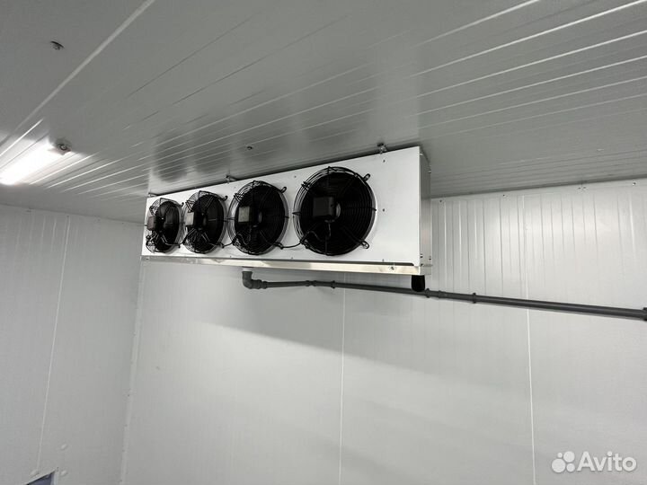 Холодильная камера для хранения яблок