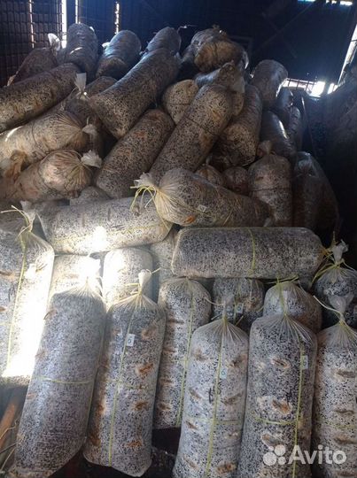 Грибные блоки на удобрения