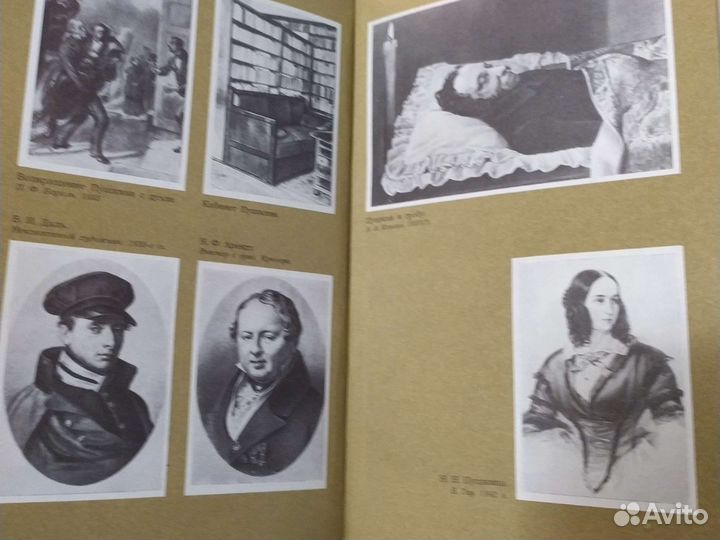 Редкую книгу Последний год жизни Пушкина