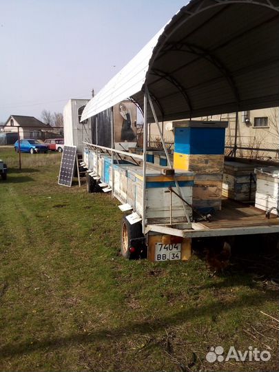 Продается пчело - пасека