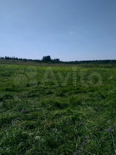 Участок 4,2 га (СНТ, ДНП)