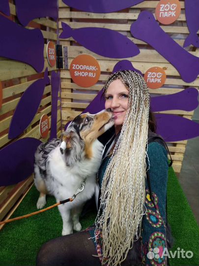 Ветеринарные услуги. Ветеринарный врач