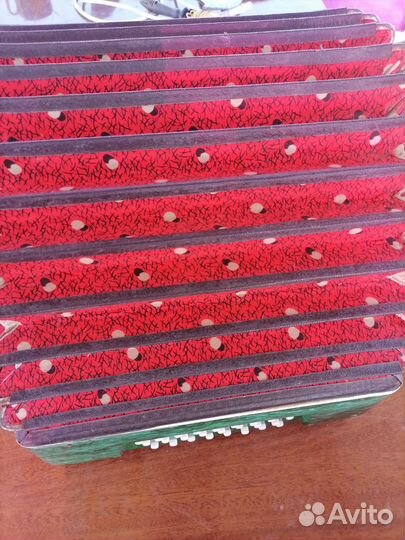 Гармонь чайка