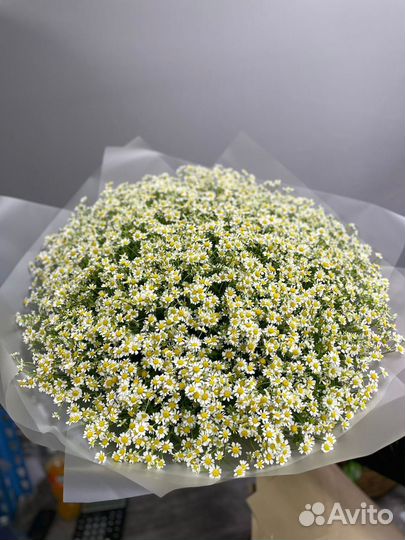 Букет с доставкой ромашки