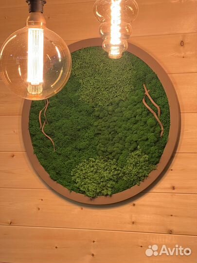 Панели из стабилизированного мха