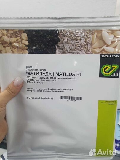 Семена Тыква Матильда гибрид 500с Энза Заден
