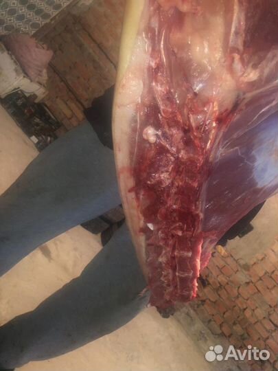 Мясо свинины,домашнее