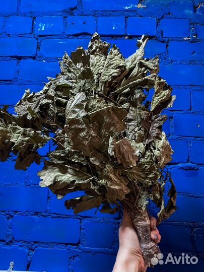 Веники дубовые и березовые