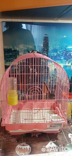 Клетка для волнистого попугая