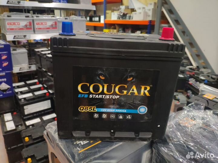 Аккумулятор 65Ач D23L Cougar