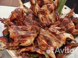 Перепелки несушки,Техасские,Манчьжурские на развед