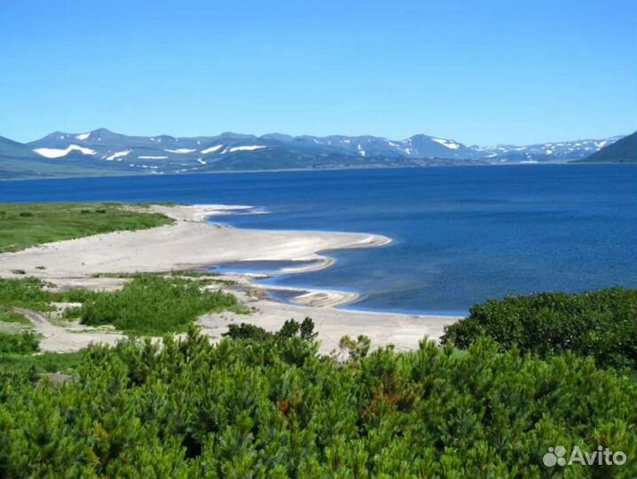 Камчатка. Бюджетные туры лето 2024