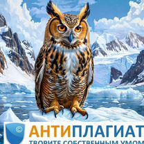 Антиплагиат вуз проверка + отчет, рерайт до 70-95%. Сможем повысить оригинальность сейчас, Нестеров