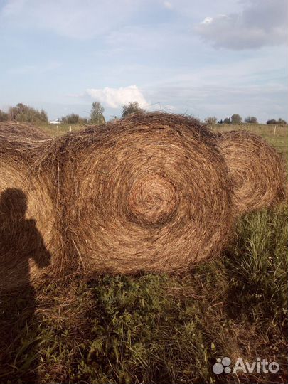 Сено с доставкой, обмен