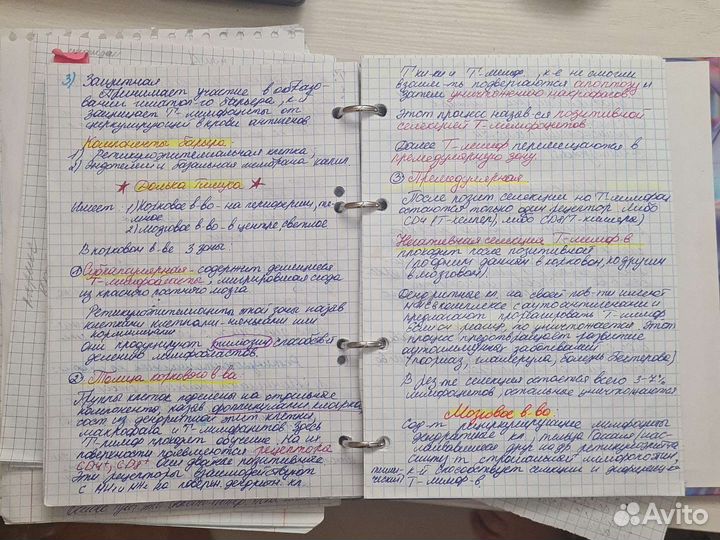 Выполнение домашнего задания