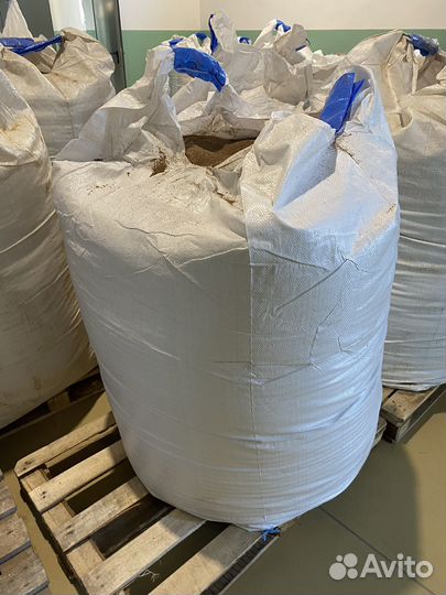 Барда пшеничная