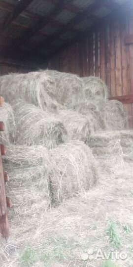 Сено в рулонах