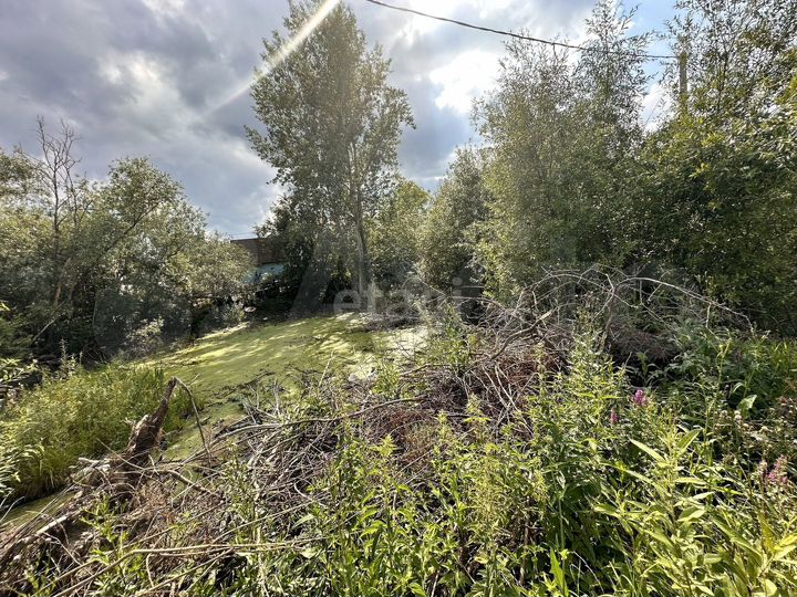 Участок 4,8 сот. (СНТ, ДНП)