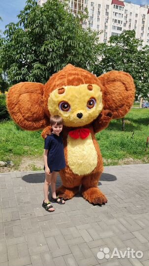 Аниматор на праздник/Живая открытка/Ростовая кукла