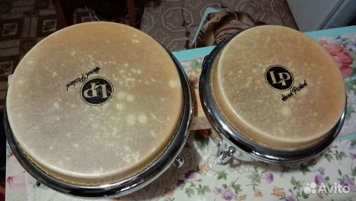Lp bongos