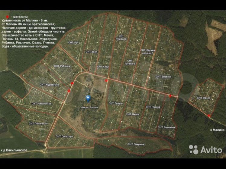 Арония живая изгородь. Ставрополь, садовое товарищество арония, ул. Ставрополь, садовое товарищество арония, ул. Арония черноплодная амит. Труново тверская область.