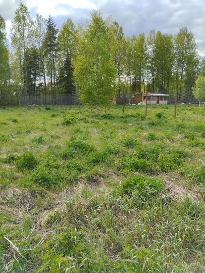 Участок 12 сот. (СНТ, ДНП)