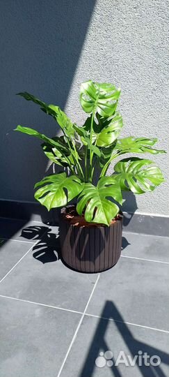 Искусственное дерево, искусственные растения