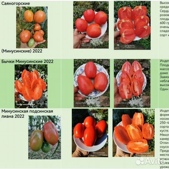 Семена сортовых томатов из частной коллекции