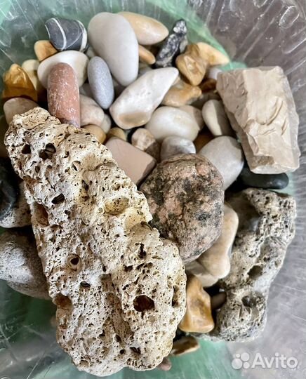 Камушки и ракушки для аквариума