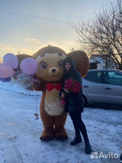 Ростовая кукла поздравление чебурашка