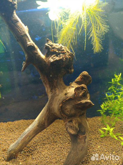 Коряги для аквариума, замок