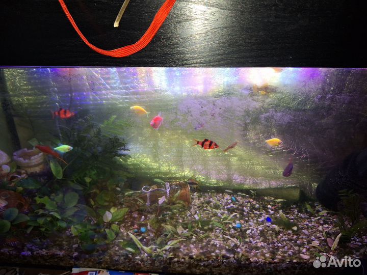 Аквариум