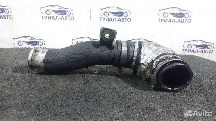 Патрубок интеркулера Sorento