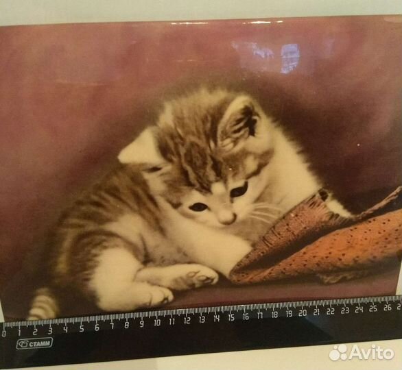 Фотокартинка СССР