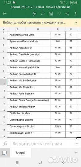 Спатифиллум Сенсация. Замиокулькасы. Фикусы и др