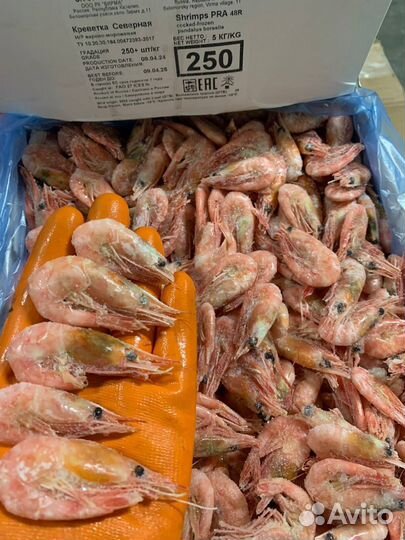 Морепродукты