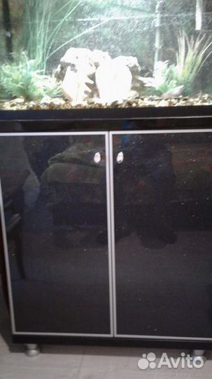Аквариум с тумбой 100л