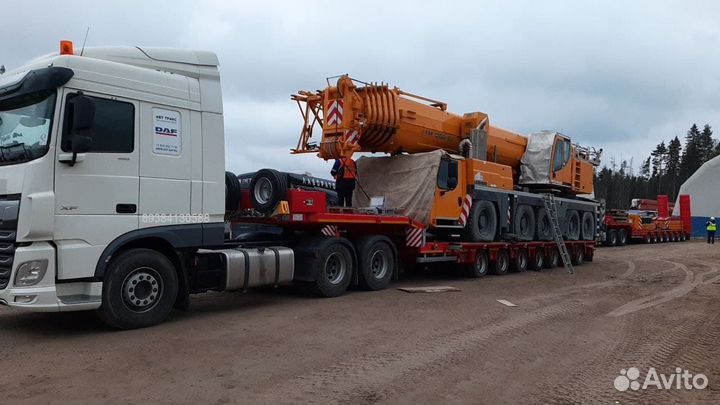 Услуги трала для перевозки спецтехники по России