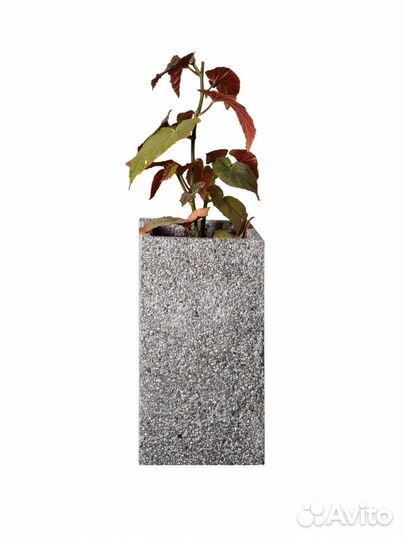 Изделия из бетона в наличии и на заказ