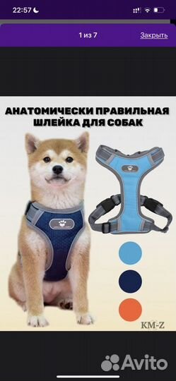 Шлейка для собаки
