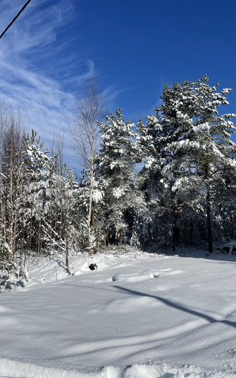 Коттедж 215 м² на участке 10 сот.