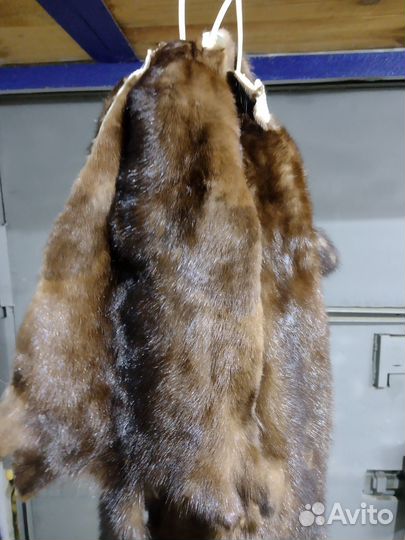 Шкурки норки