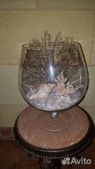 Аквариум сухой.Рюмка