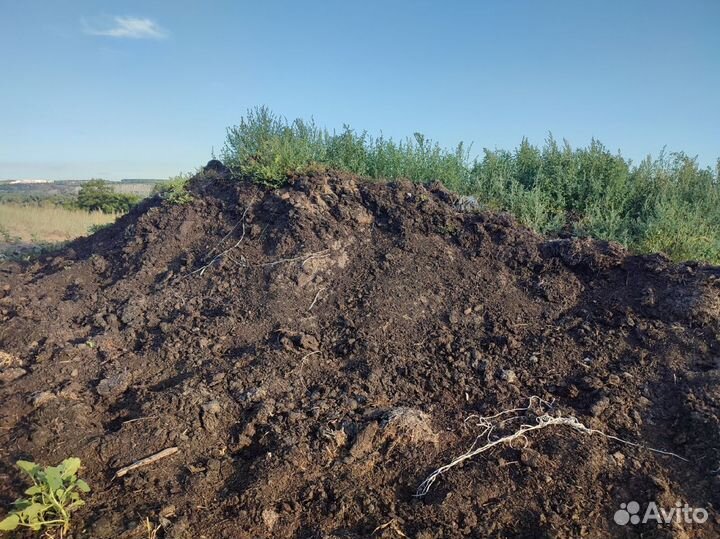 Навоз коровий