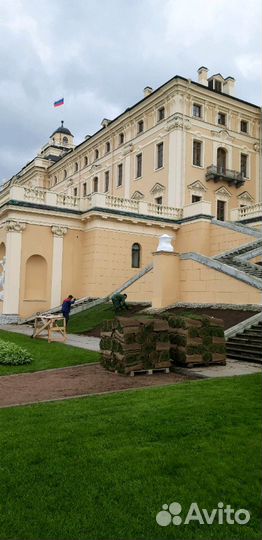 Рулонный газон, Опт/розница