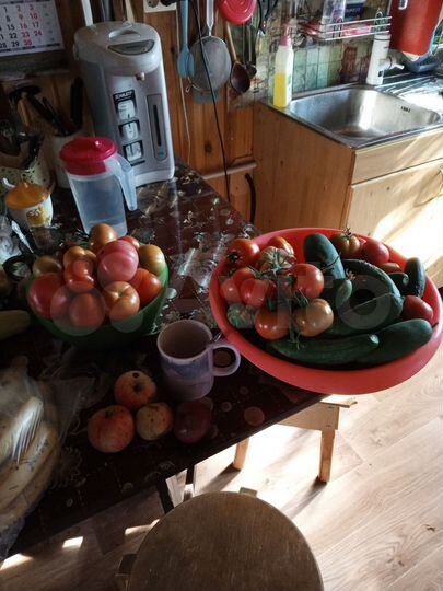 Дом 64 м² на участке 25 сот.